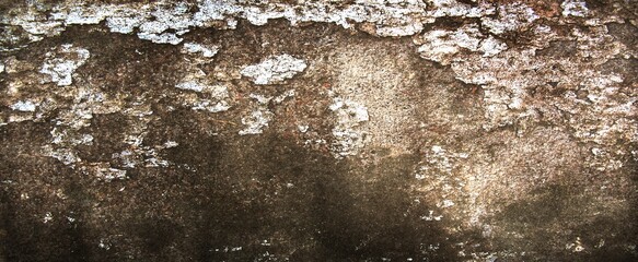 Obraz premium Texture of an old cracked concrete wall. Rough gray concrete surface. The gap between the reinforced concrete slabs. Perfect for background and design. Close-up. High resolution.