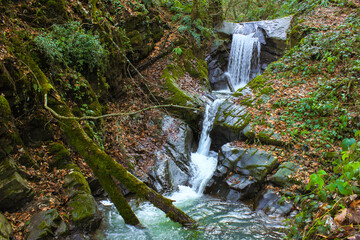 Beautiful waterfall in the forest.