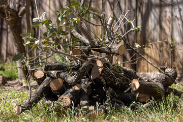 Naklejka na ściany i meble Pile of stacked tree branches from tree trimming and pruning in the backyard. Green waste disposal recycling and composting at home.