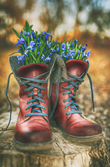 boots and flowers