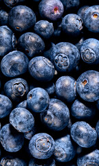 Fresh forest fruit. Full frame shot of natural source of vitamins and antioxidants.