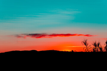 sunset landscape with a teal and orange sky and tree silhouettes