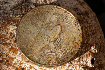 Fototapeta na wymiar Peace Dollar 1922 Eagle
