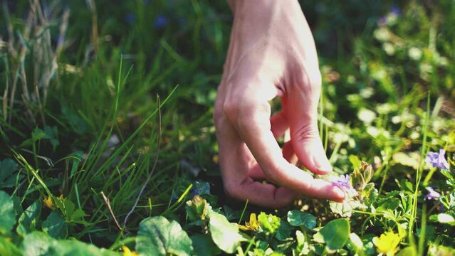 Mains touchant l&rsquo;herbe