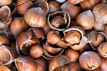 hazelnuts peeled from the shell