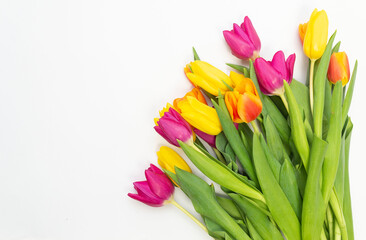 bouquet of tulips on beige light background. horizontal view.