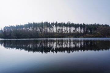 Fototapeta premium reflection in the water