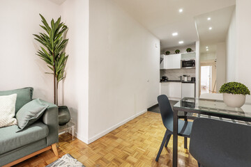 Narrow living room with blue fabric sofa, iron and glass table and artificial decorative plants