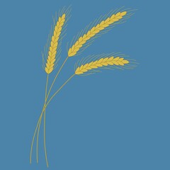 Cartoon ears of wheat Harvest symbol. - 495136245