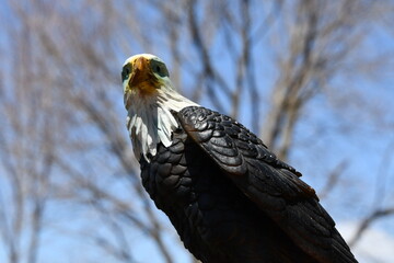 Eagle Statue
