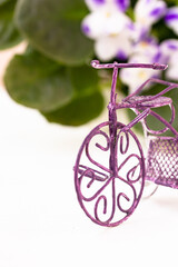 Fototapeta na wymiar Decorative purple-painted bicycle in retro style, white und purple flowers on white background , copy space