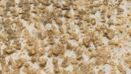 Old marble texture for background. Beige stone texture with spots and cracks. Cracked vintage wall background