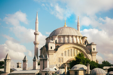 Fototapeta na wymiar Photo of a Mosque in Istanbul Turkey