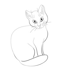 Sketch cute cat isolated on white background. Vector illustration.