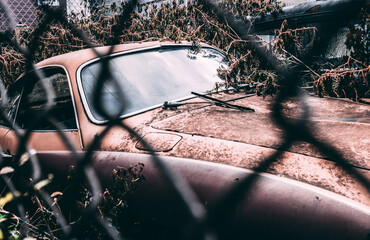 Abandoned Rustic Car