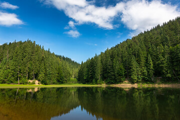 Fototapeta na wymiar landscape with calm lake in summer. forest reflection in the water. beautiful travel background of synevyr, ukraine. tranquil green nature scene. sunny outdoor environment