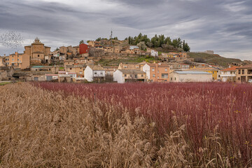 Wicker landscape in Villaconejos de Trabaque in Cuenca, Spain