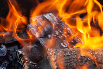 dry logs burning in the fire from tree trunks