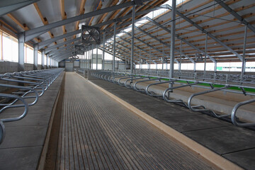 The final stage of construction of the agricultural complex. Construction of a new large hangar....