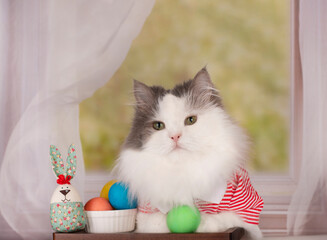 fluffy cat with easter eggs celebrates easter
