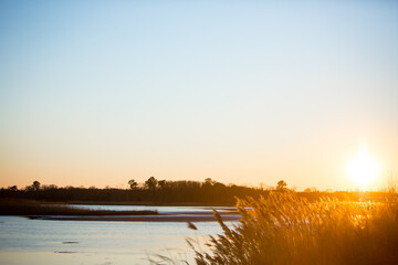 winter sunset over marsh 