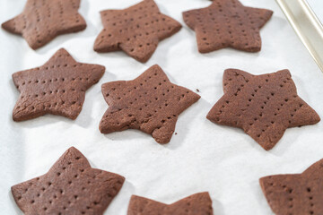 Chocolate graham crackers