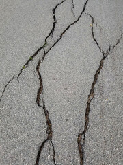 Cracked asphalt. asphalt texture with cracks