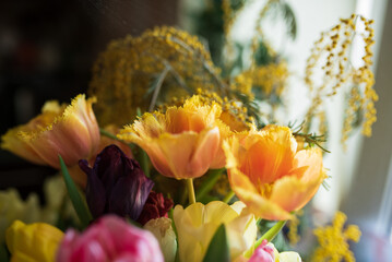Bouquet of colorful tulips close-up