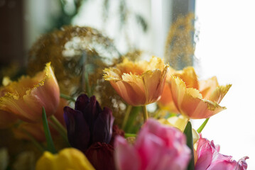 Bouquet of colorful tulips close-up