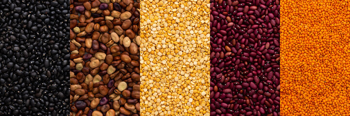 Different types of legumes banner, lentils and yellow peas, brown, red and black beans, top view