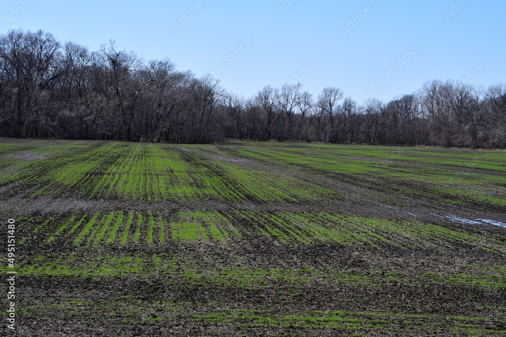 Canvas Prints farmland