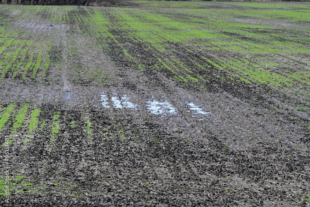 Poster wet farmland