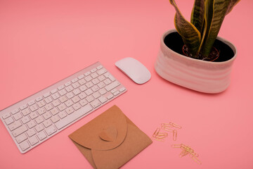 Sfondo rosa con tulipano e tastiera