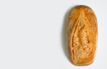 Fresh bread isolated on white background