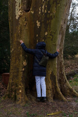Contact with nature - a woman hugging a tree - obrazy, fototapety, plakaty
