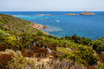 Corsican scrubland overhanging the coasts and beaches of Corsica near the Mediterranean Sea where several boats have dropped anchor