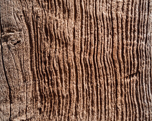 Wooden board of brown natural color. Texture of old wood. Wooden background with knots.
