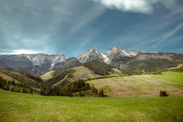 alpine meadow in the mountains