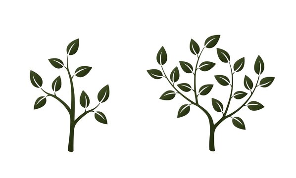 two tree icon. eco, environment and plant symbols. nature design element