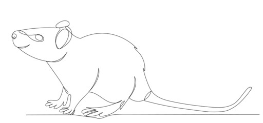 mouse drawing by one continuous line, isolated vector