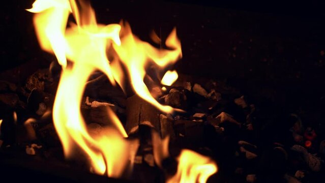 Spicy Chicken Wings Being Grilled Over Bright Glowing Coals of Night Time Broasting On Fire. Night Party Barbecue. Outdoor Cooking. Cook Prepares Oriental Dish In Kitchen. Junk Food, Healthy Lifestyle