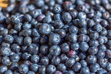 Fresh Ripe Blueberries