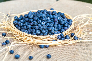 Fresh Ripe Blueberries