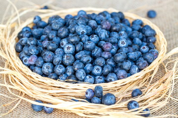 Fresh Ripe Blueberries