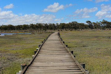 Steg im West Coast National Park