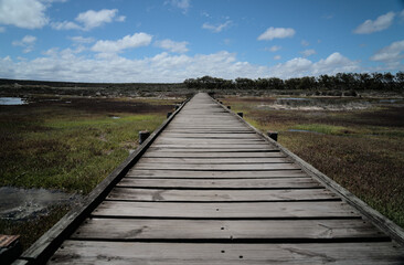 Steg im West Coast National Park