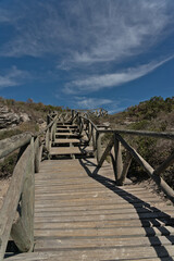 Fototapeta premium Steg zum Meer | West Coast National Park