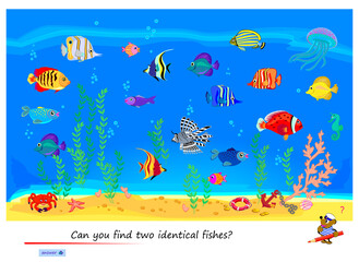 Naklejka na ściany i meble Logic puzzle game for children and adults. Can you find two identical fishes? Page for kids brain teaser book. Task for attentiveness. IQ test. Play online. Underwater life. Vector cartoon image.