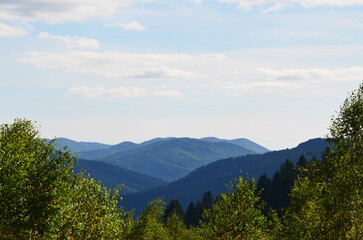 forest and sky. mountains Carpathians in Ukraine.