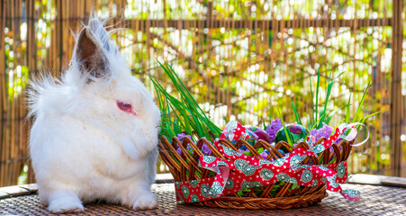 A bunny sniffing beautifully decorated Easter striped basket on wooden table